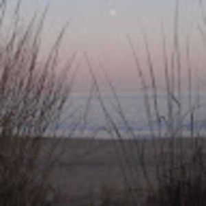 Meet your Posher, Jo  ann